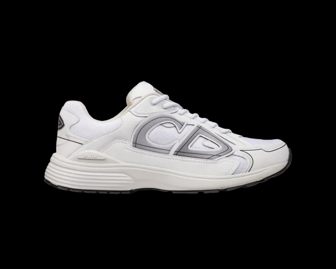 Dior B30 White Grey