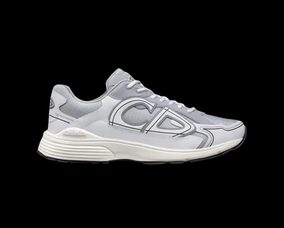 Dior B30 Grey