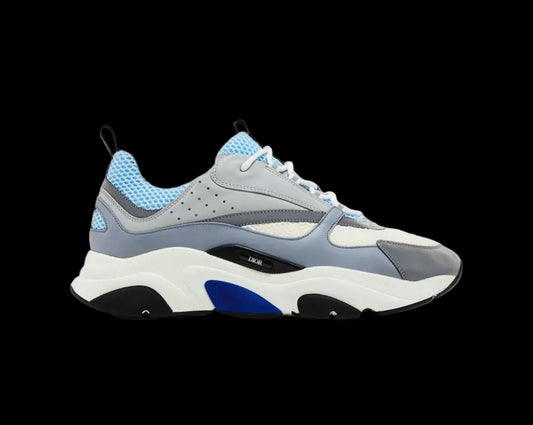 Dior B22 White Blue