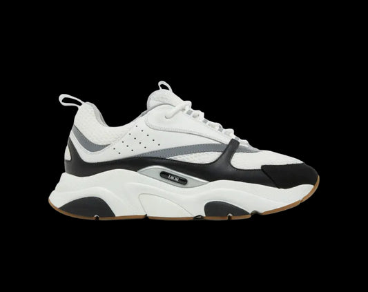 Dior B22 White Black Gum