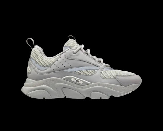 Dior B22 Grey