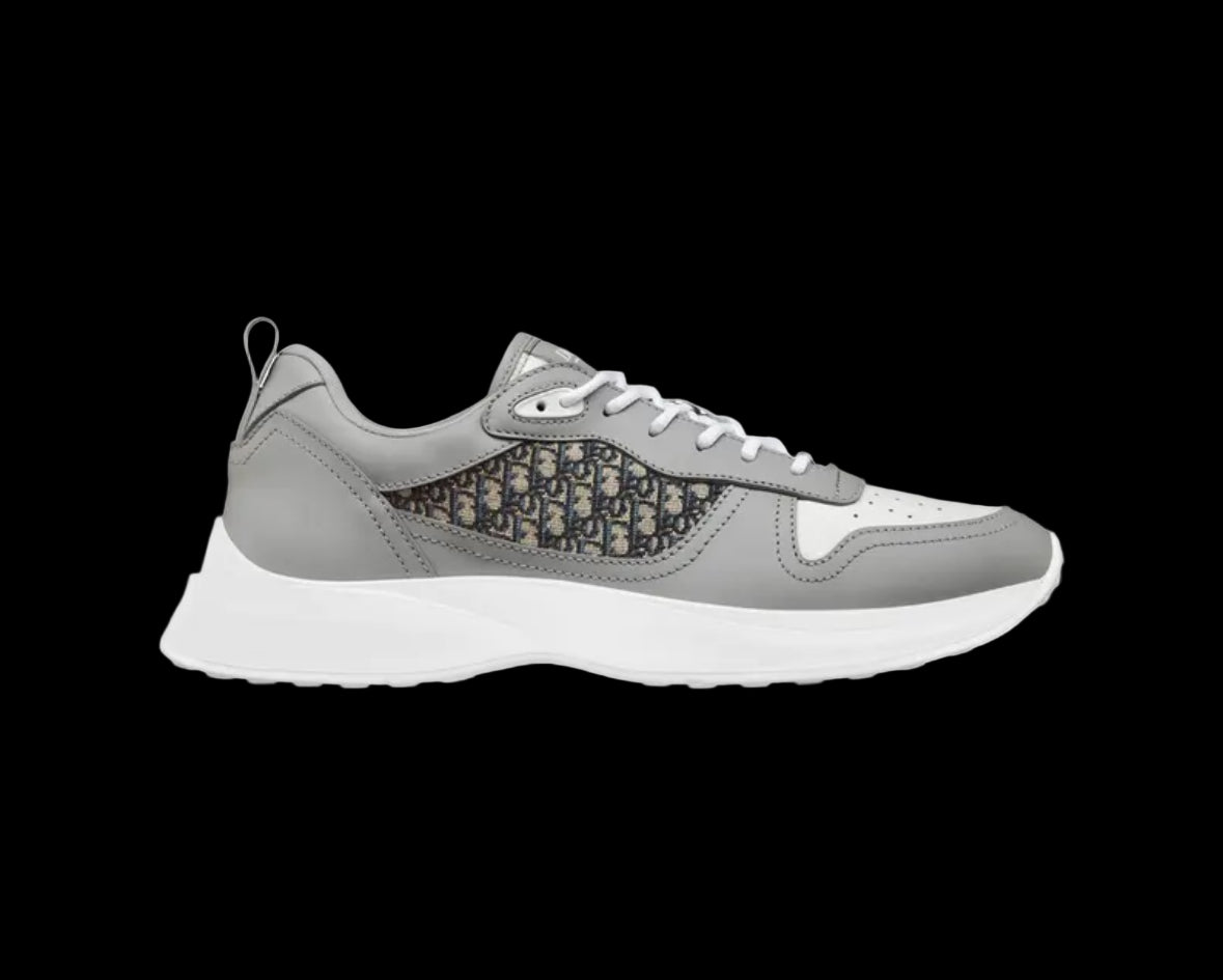 Dior B25 Dior Oblique Grey Dior