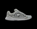 Dior B30 Reflective CD30 Grey Dior