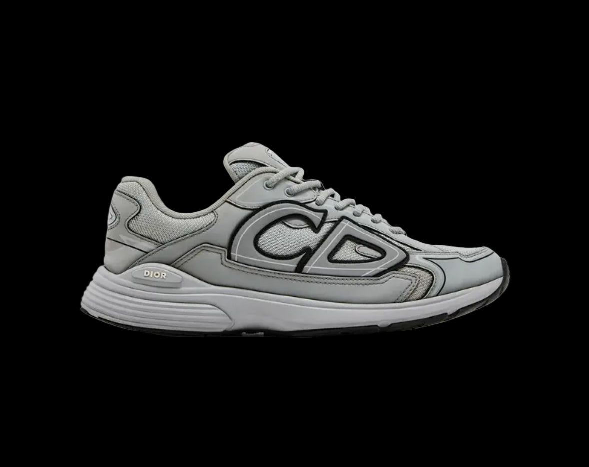 Dior B30 Reflective CD30 Grey Dior