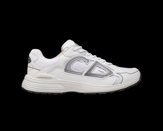 Dior B30 White Grey