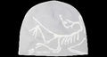 Arc'teryx Bird Head Toque Beanie Solitude/Arctic Silk ARC'TERYX