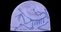 Arc'teryx Bird Head Toque Beanie Moonstone/Electra ARC'TERYX