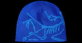 Arc'teryx Bird Head Toque Beanie Dark Vitality/Fluidity.