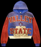Vale Forever Alumni Pullover Multicolor Fale Vorever